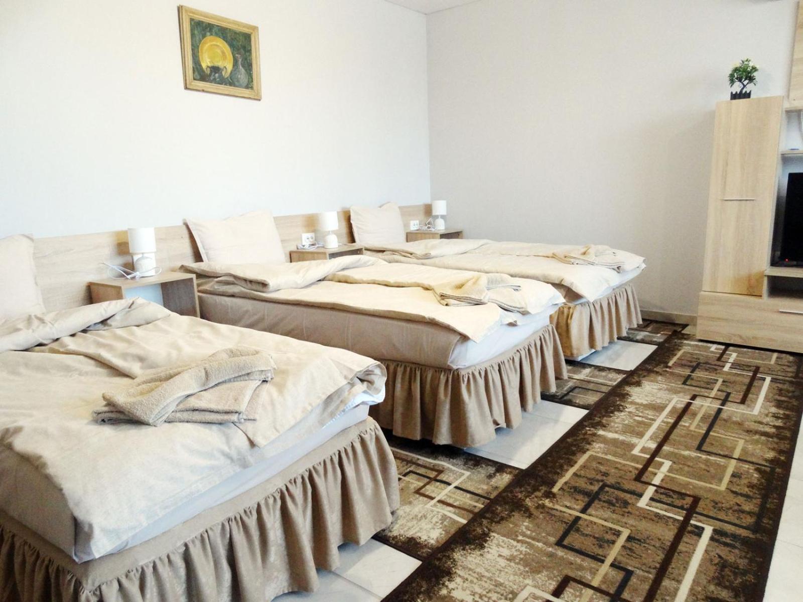 Apartments Emiza サモコフ エクステリア 写真